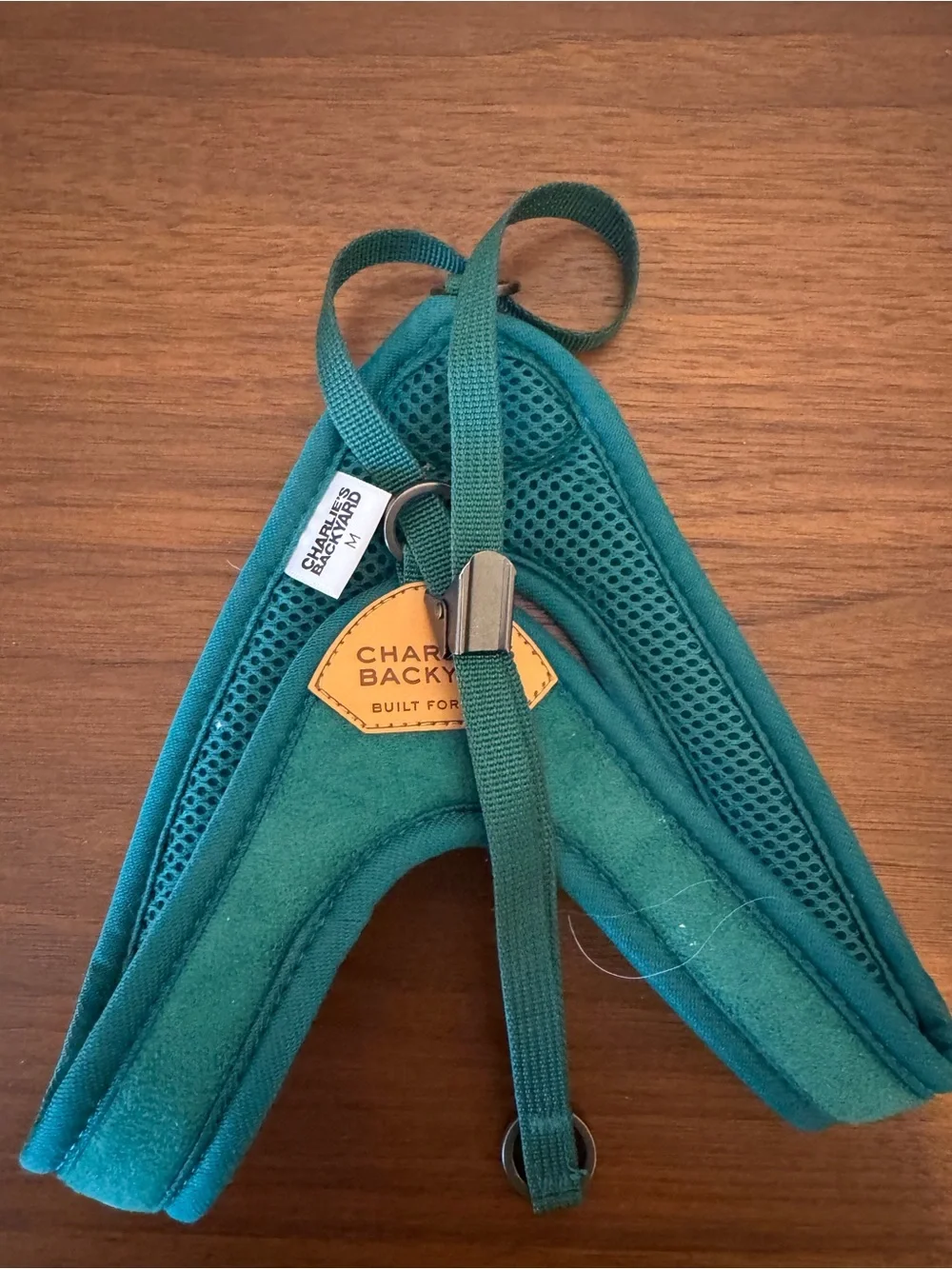 Teal Kids Harness